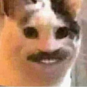 Meet your Posher, Santo